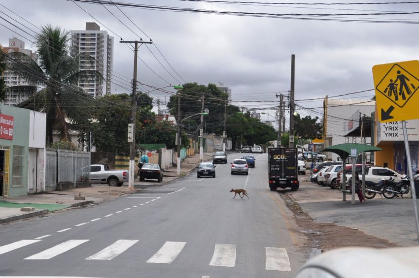 Avenidas São Sebastião e Ipiranga passam a ter sentido único
